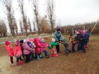 Кто победит: луна или солнце?